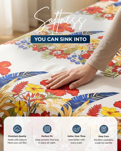 Premium 3-Piece Printed Bedsheet Set